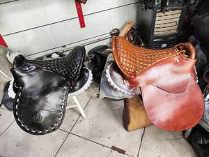 قیمت زین اسب استقامتی در خوی