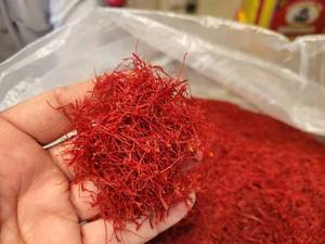 تولیدکننده زعفران سوپر نگین اتویی