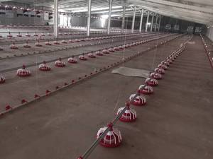 دستگاه دانخوری بشقابی اتوماتیک در رشت