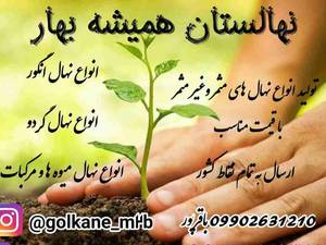 نهالستان و گلسرا در میاندوآب