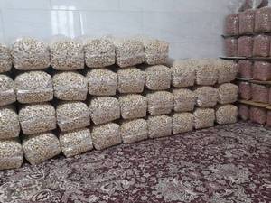 فروش عمده بادام زمینی در زنجان