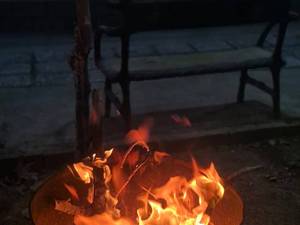 تور اسب سواری شیراز