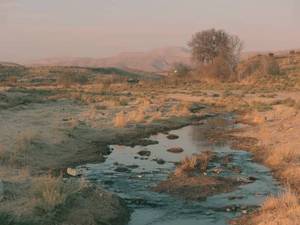 تور اسب سواری شیراز