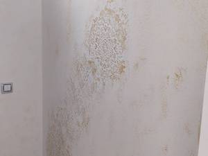 اجرای میکروسمنت نما بافت دار در بوشهر