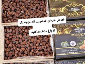 خرید خرما پیارم درجه یک در شیراز