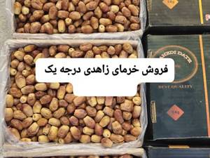 قیمت خرما زاهدی عمده در خنج