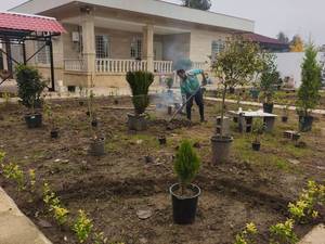 اجرای فضای سبز و محوطه سازی در رشت