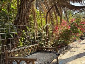 اقامتگاه بوم گردی حرفه ای شهداد عکسها