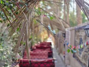 اقامتگاه بوم گردی حرفه ای شهداد عکسها