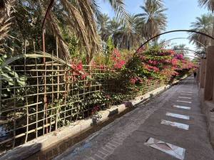 باغ بومگردی کلوت های شهداد