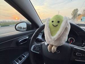 فروش عروسک آلبالو وارداتی با کیفیت بالا در ورامین