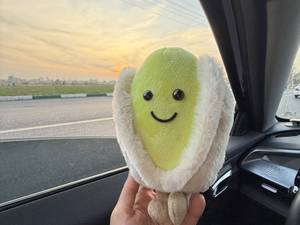 فروش عروسک آلبالو وارداتی با کیفیت بالا در ورامین