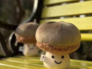 قیمت قارچ Jellycat برای خرید عمده در ورامین