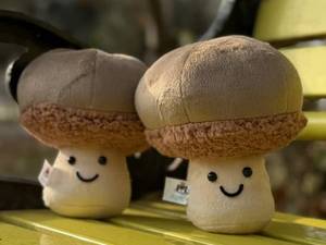 قیمت قارچ Jellycat برای خرید عمده در ورامین