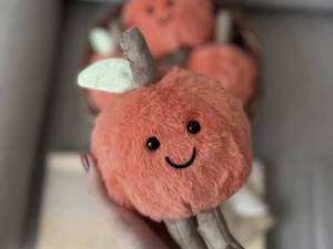 سفارش عروسک هلو جیلی کت در فردیس