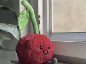 خرید عمده عروسک آلبالو Jellycat فروشگاه‌ها ورامین