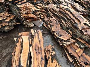 تولید و فروش اسلب چوب زیتون در رودبار