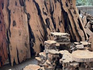 خرید چوب اسلب به صورت عمده در رودبار