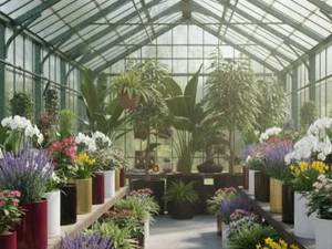 فروش گلدان سرامیکی نشکن رنگی لارستان