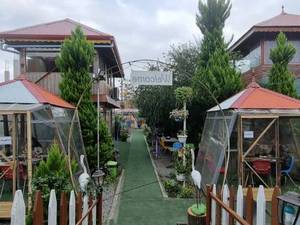 رستوران و کافی‌شاپ کنار جاده سقالکسار