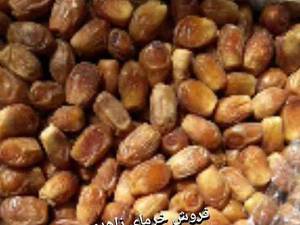 خرمای زاهدی صادراتی در فارس