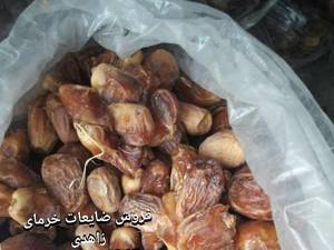 ضایعات خرمای زاهدی