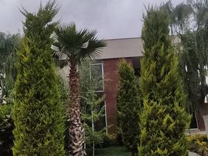 قیمت درختچه های زینتی فضای باز در شهریار