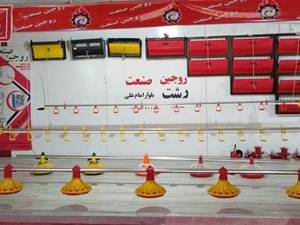 خرید تجهیزات و لوازم مرغداری