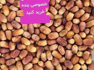 قیمت خرما خشک زاهدی عمده در شیراز