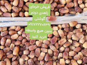 فروش خرمای زاهدی درجه دو در قیروکارزین