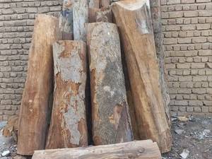 خرید و فروش گرده و چوب‌های باغی و جنگلی در قم
