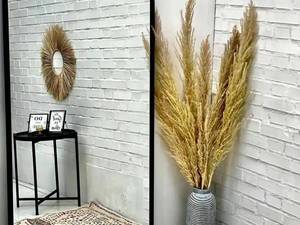 آینه گنبدی مدل ونوس