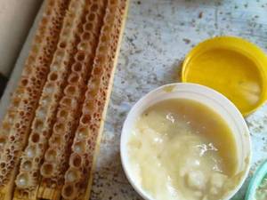 قیمت ژل رویال اصل ایرانی