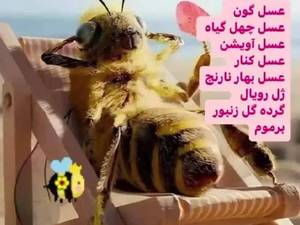 قیمت، خرید و فروش عسل ارگانیک
