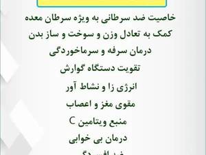 خرید عسل مرکبات (بهارنارنج)