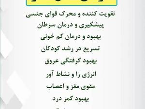 خرید و قیمت عسل کنار