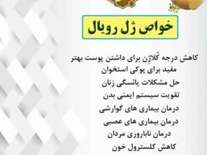 خرید ژل رویال اصل با ضمانت