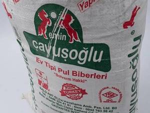 قیمت پول بیبر ترکیه