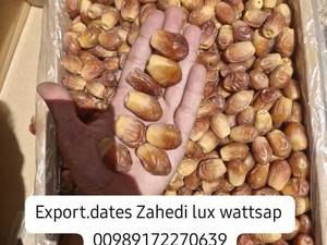 قیمت خرید خرما زاهدی درجه یک در شیراز