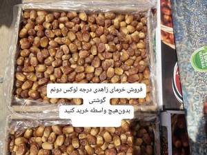 خرید عمده خرمای زاهدی باکیفیت در بوشهر