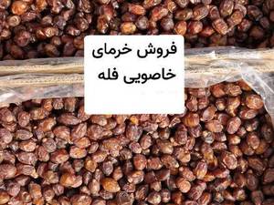 قیمت خرمای خاصویی درجه یک در قیروکارزین