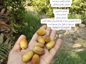 قیمت خرما زاهدی درجه 2 و درجه 3 در کازرون