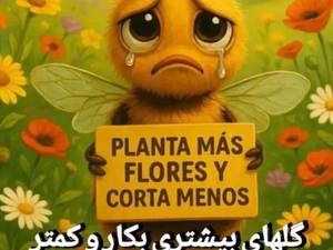عسل و دستگاه گوارش