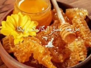 خواص آب و عسل