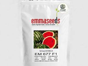 بذر هندوانه EM677