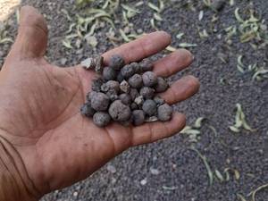 آهن اسفنجی سوخته بدون خاک در رشت
