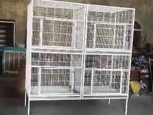 قفس بزرگ جفت‌کن مناسب شاه‌طوطی، اکلکتوس، کاسکو و کاکادو
