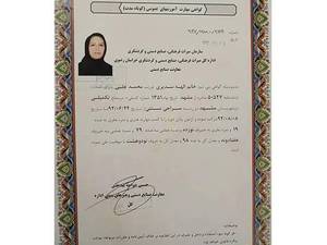سراجی سنتی در دو دوره‌ی مقدماتی و تکمیلی