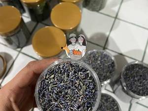 لوندر اسطوخدوس مناسب دمنوش و عطرسازی