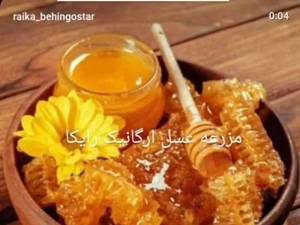 عسل همیشه بهار با بسته‌بندی بهداشتی